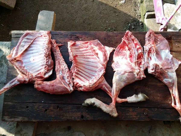 金寨山羊肉