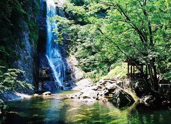 金寨美食丨春游大别山，嬉游山水，乐品佳味，不负春日好时光